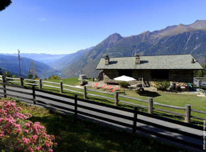 Holiday Creek Mortirolo